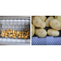 High effective automatic brush potato peeler